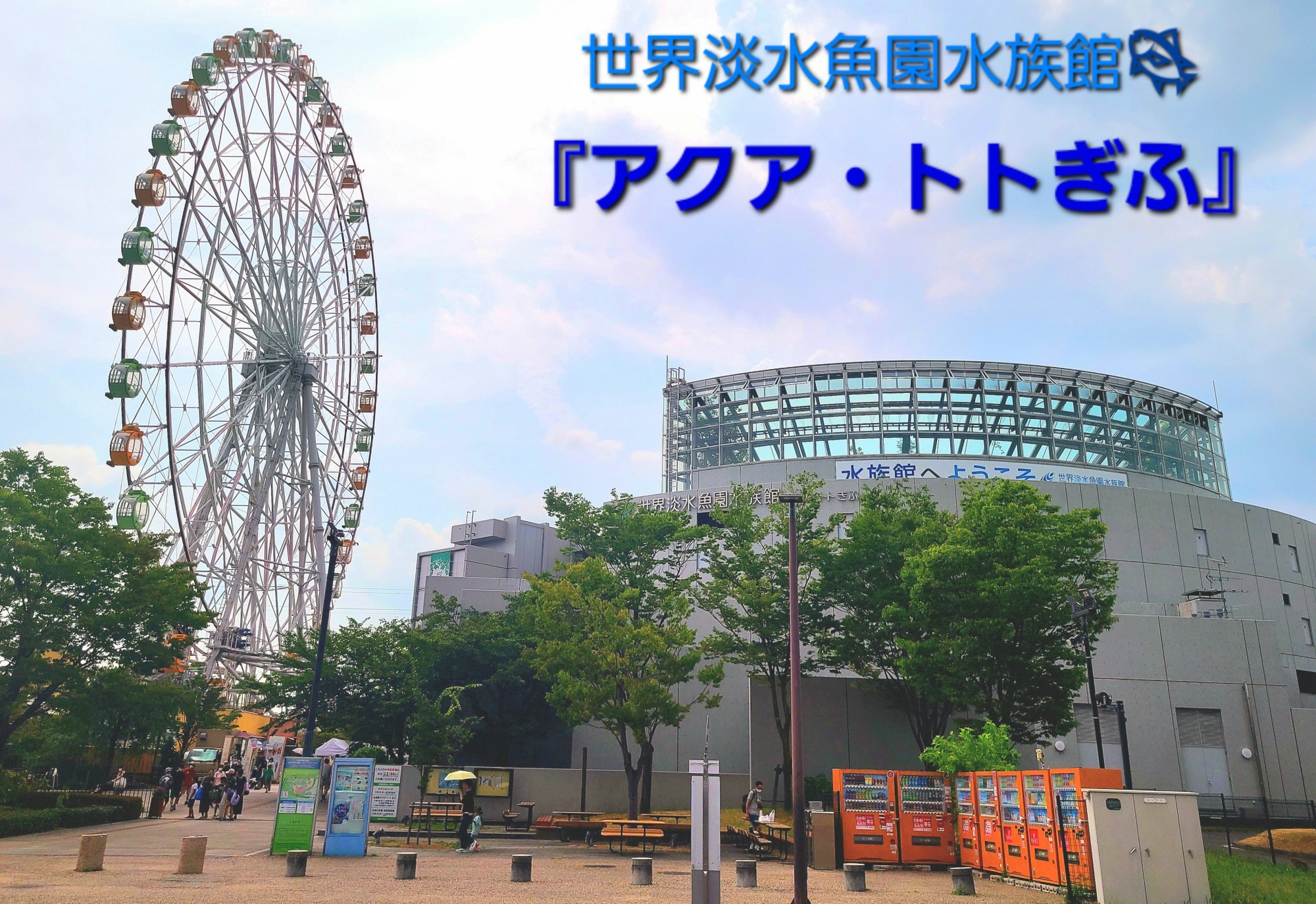アクアトトぎふ完全攻略2026！見どころ・料金割引と混雑回避法