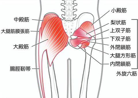 【衝撃】 尻 に 敷 かれる と は 人気理由と評判まとめ #666