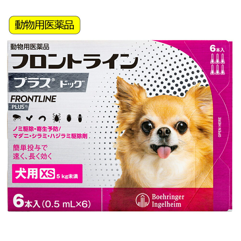 フロントラインの真実と副作用！愛犬愛猫を守る正しい使い方完全解説