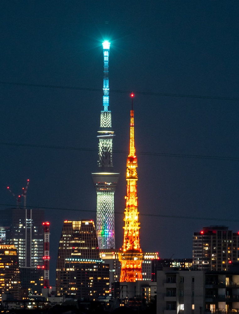 タワマンは何階から？定義や虫・眺望の違いと後悔しない階数選び