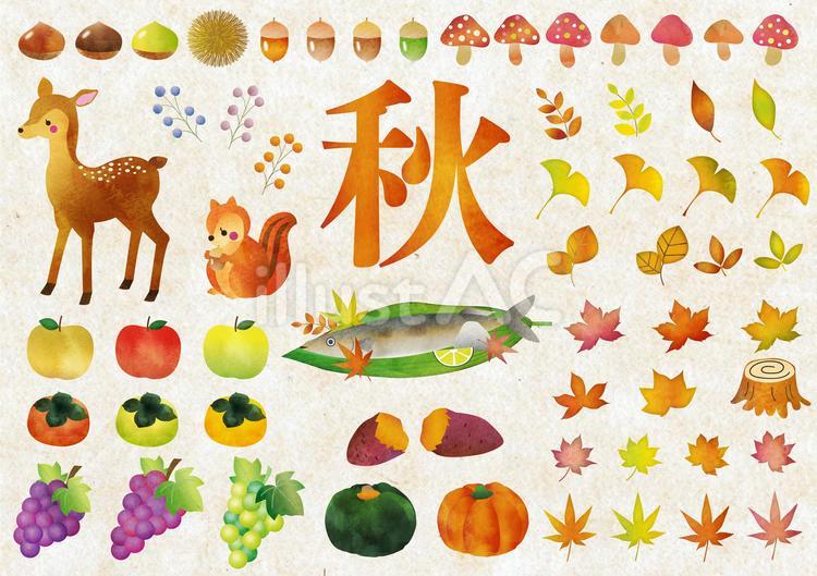 【2026最新】秋のかわいいイラスト無料素材厳選！商用フリーや手書き枠も