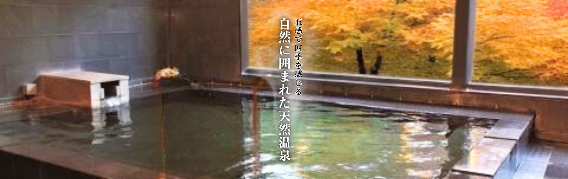 松島温泉乙女の湯の評判は本当か？極上とろとろ美肌湯の真実を徹底解剖