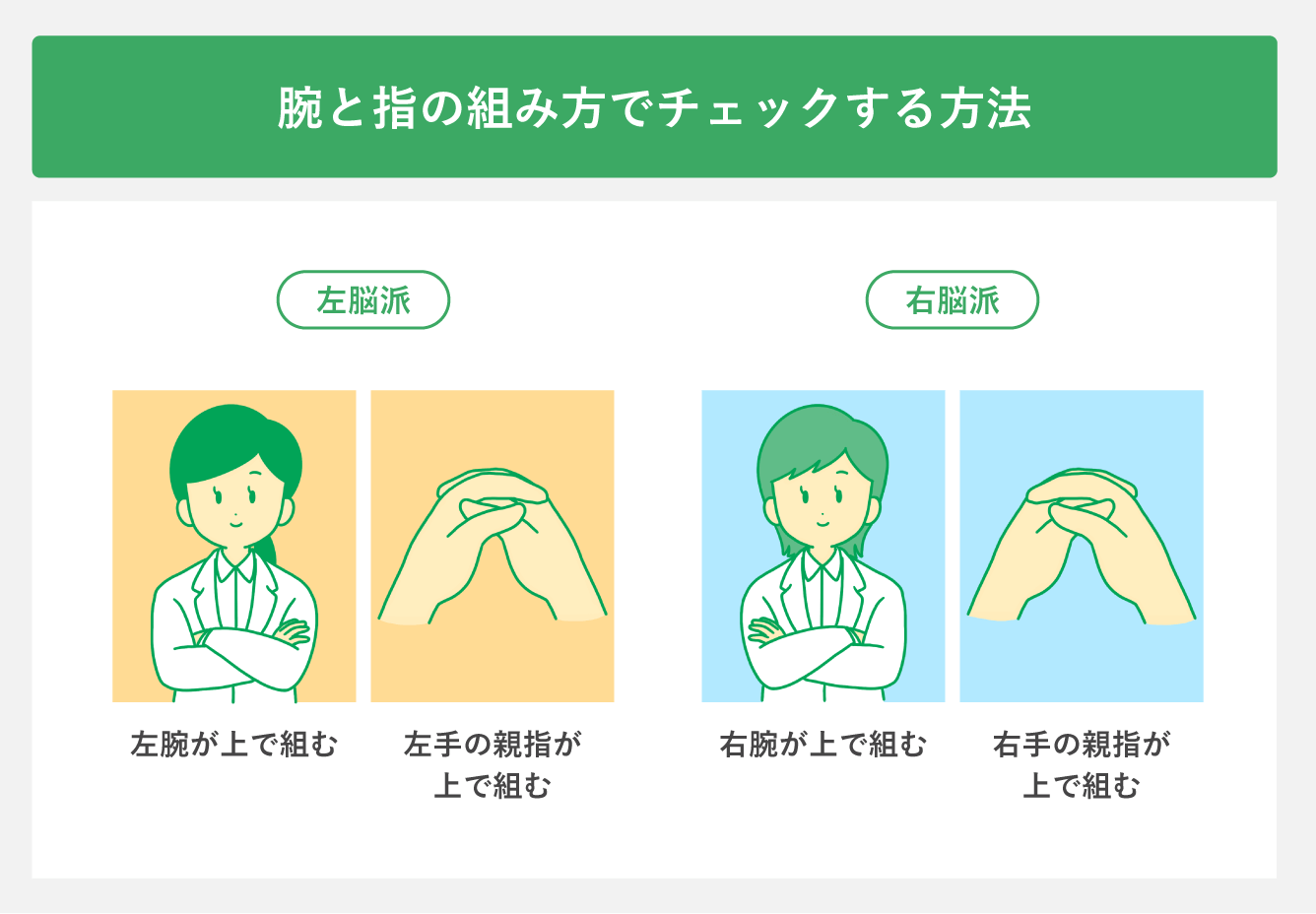 【2026】左脳右脳診断は嘘？手の組み方でわかる思考の癖と適職の真相