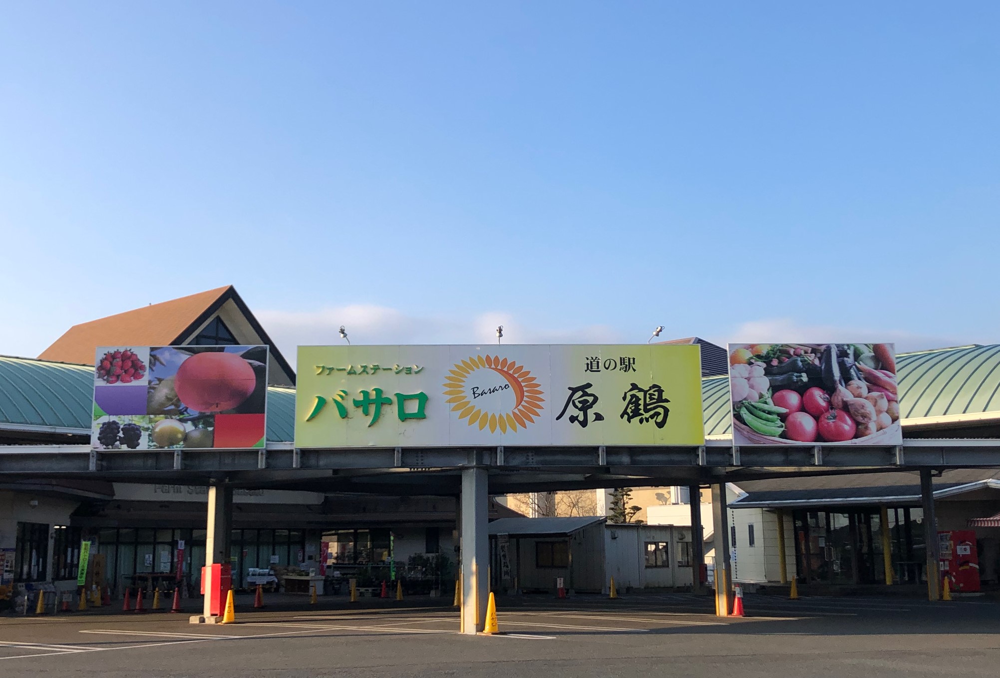 道の駅原鶴バサロが愛される理由！ひまわり見頃と2026年最新ガイド