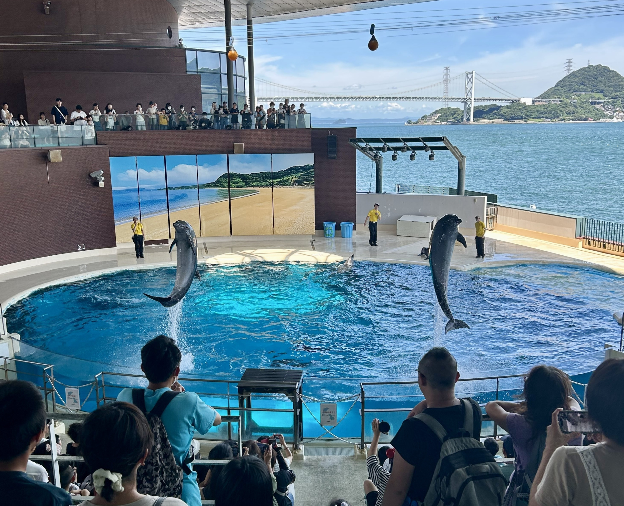 下関・海響館の完全攻略ガイド！見どころ・割引・混雑回避の裏ワザ