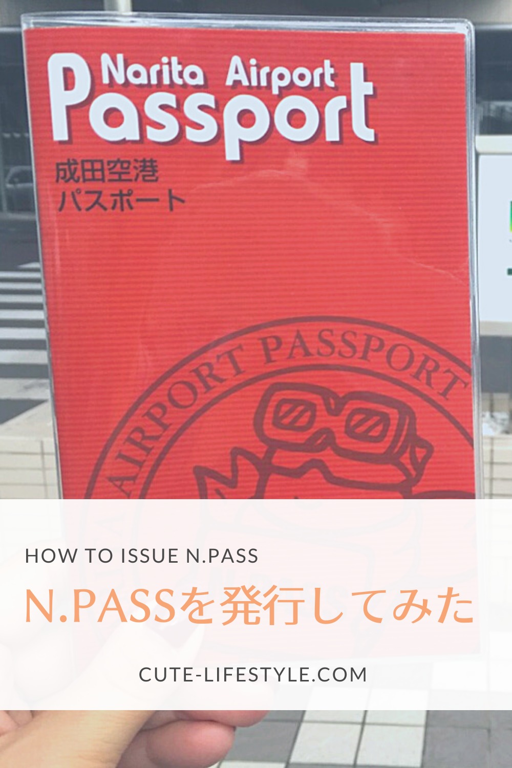えぬぱすログインできない原因は？N-Passの解決手順と2026最新事情