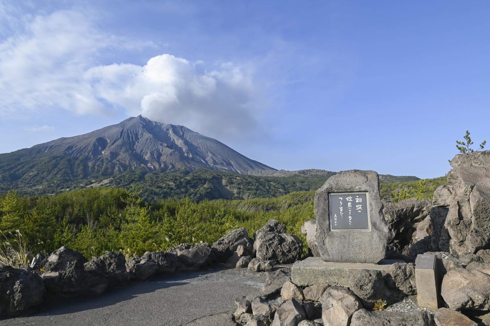 桜島・有村溶岩展望所の魅力解剖！大正溶岩の絶景と湯之平との違い