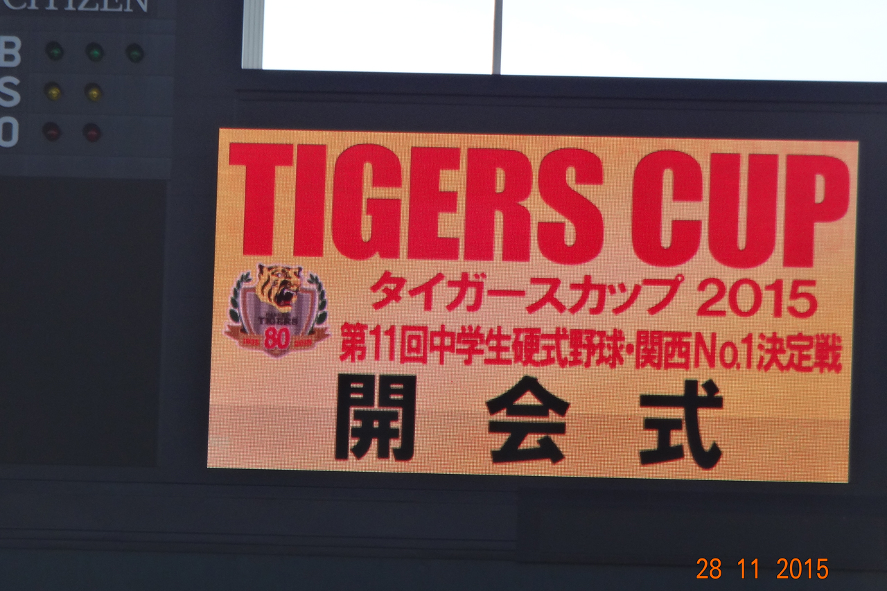 2026年シーズン開幕！藤川阪神の采配に「阪神 タイガース 掲示板」が沸騰する理由とネット観戦の現在地