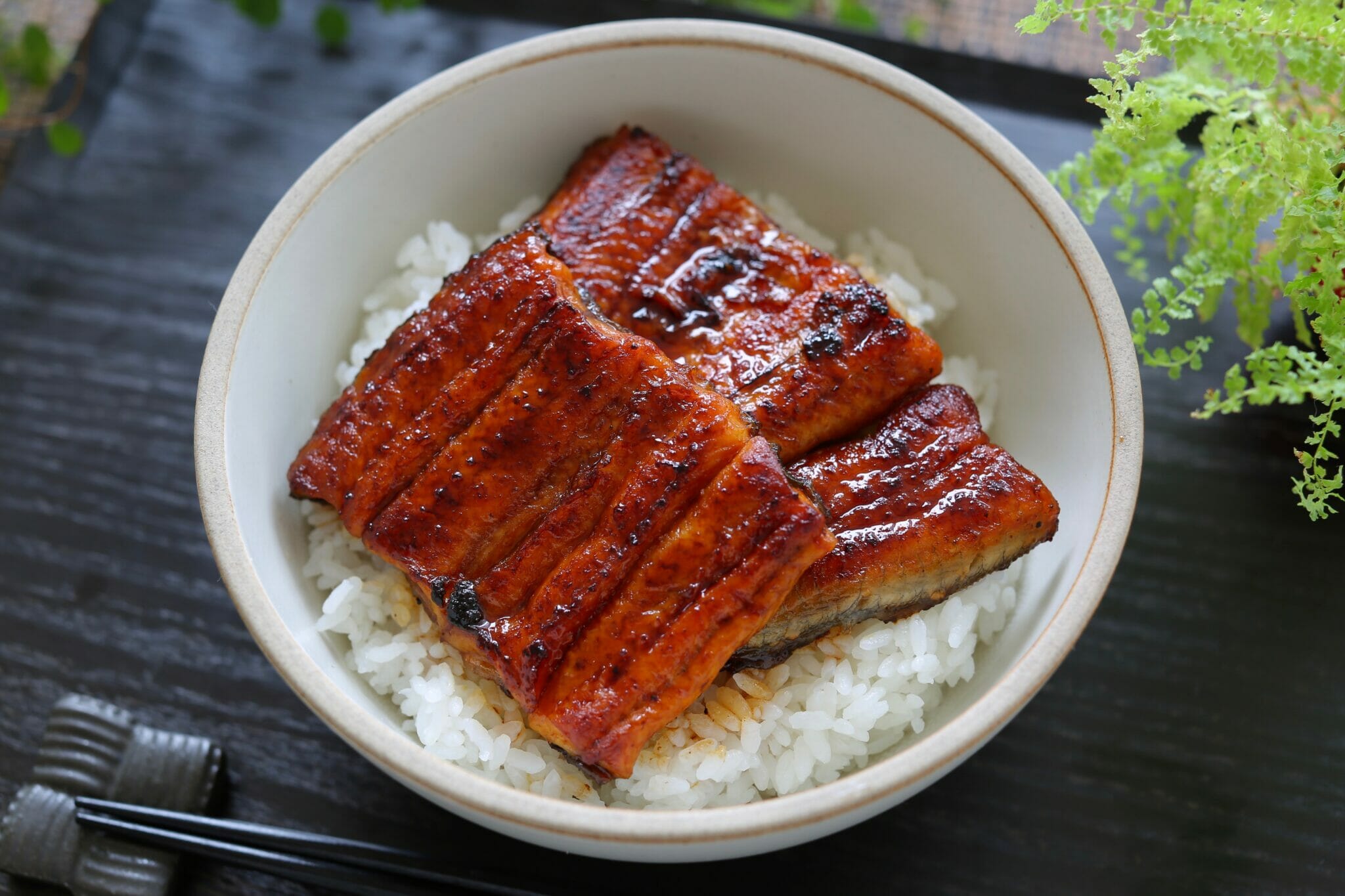 うなぎと穴子の決定的な違いとは？味・栄養・値段の差と見分け方