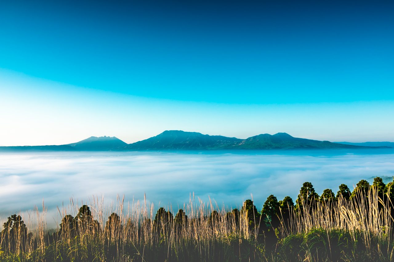 城山展望所で桜島絶景を制す！2026年最新・混雑回避の完全攻略
