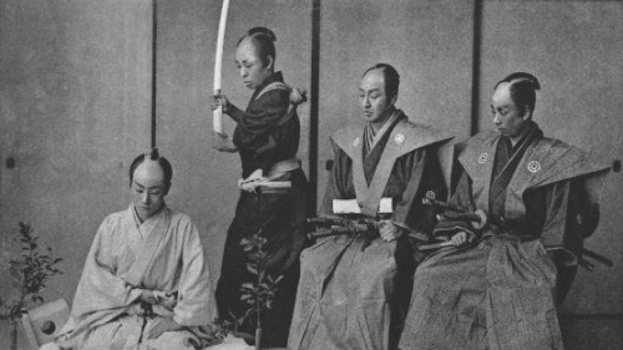 服部小平太は戦国の影に消えた“最年少槍働き”の男…歴史資料と2026年最新研究で読み解くその正体と驚愕の真実
