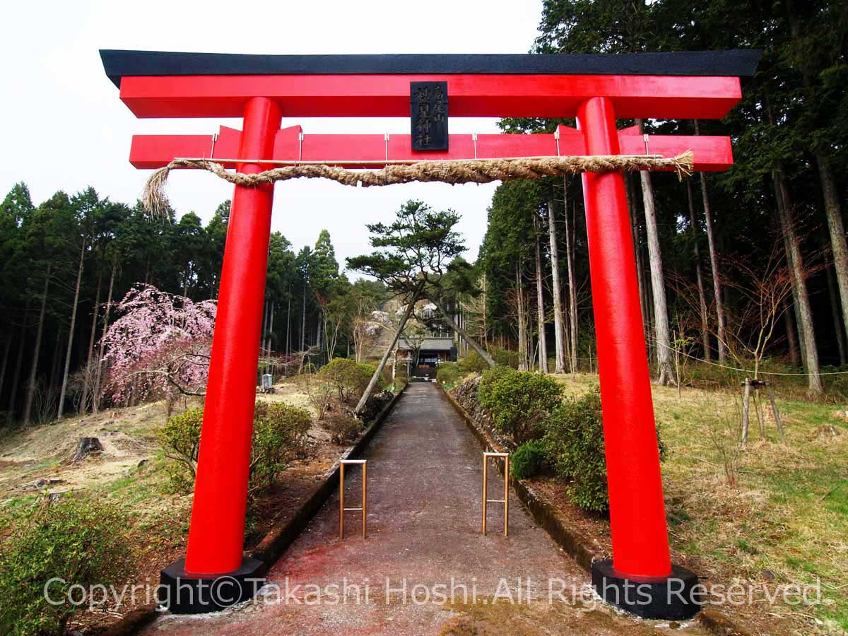 南アルプス高尾穂見神社の夜祭りとご利益を徹底解剖【2026最新】