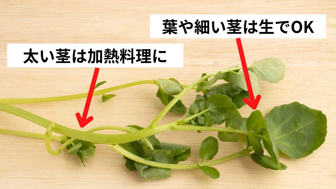 添え物から主役へ！クレソンの極上食べ方と栄養を活かす下処理術