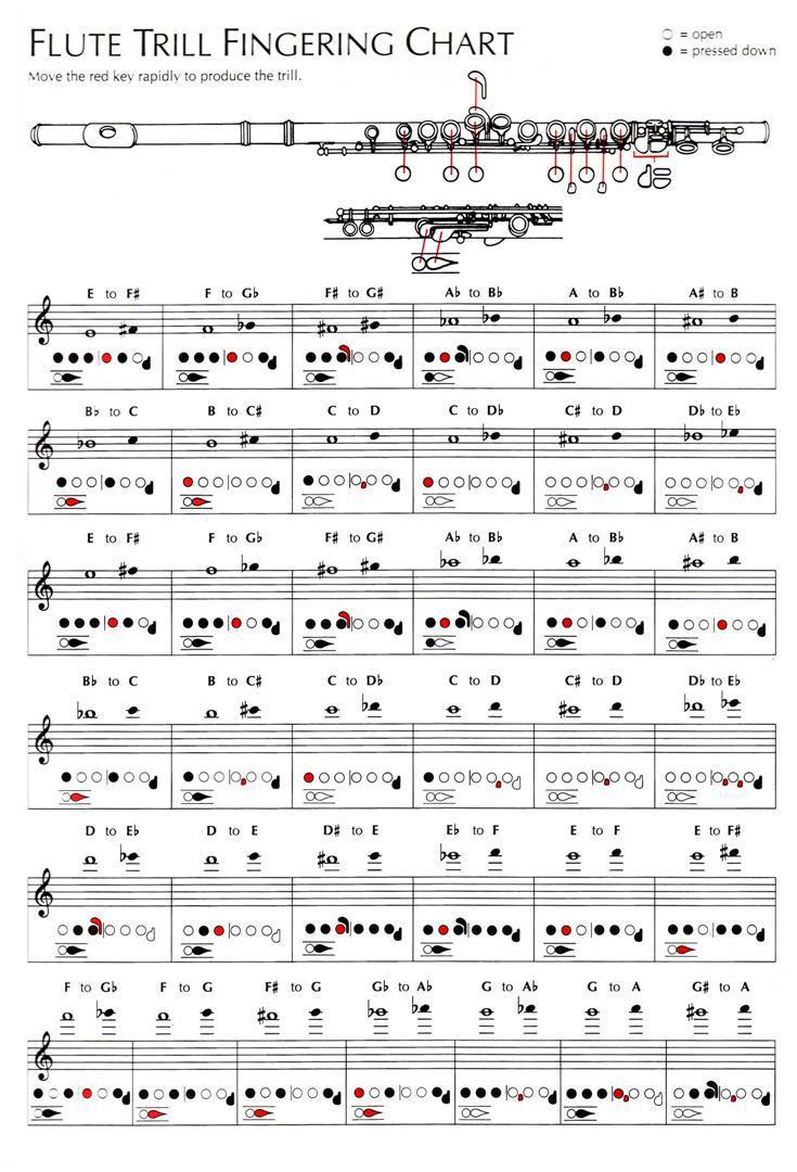 フルートのトリル運指表完全版！高音の替え指と回らない原因をプロが解説