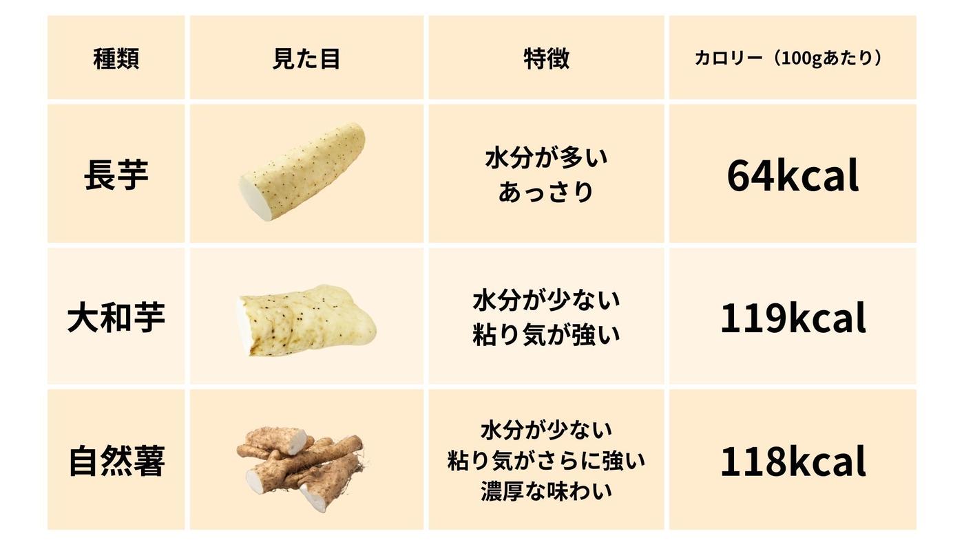長芋の栄養と効能を徹底解説｜生食と加熱の違いや効率的な食べ方の真実