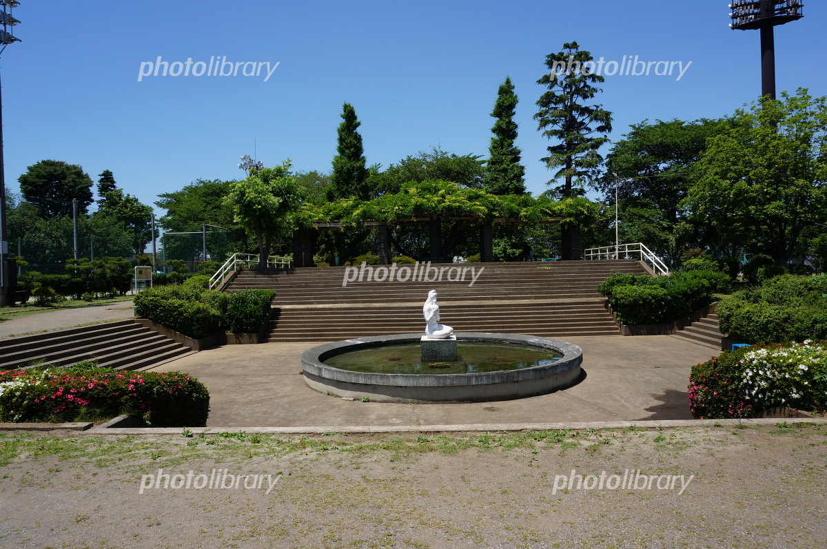 新狭山公園の魅力と実態を徹底解剖！遊具・混雑・子連れ満足度の真相