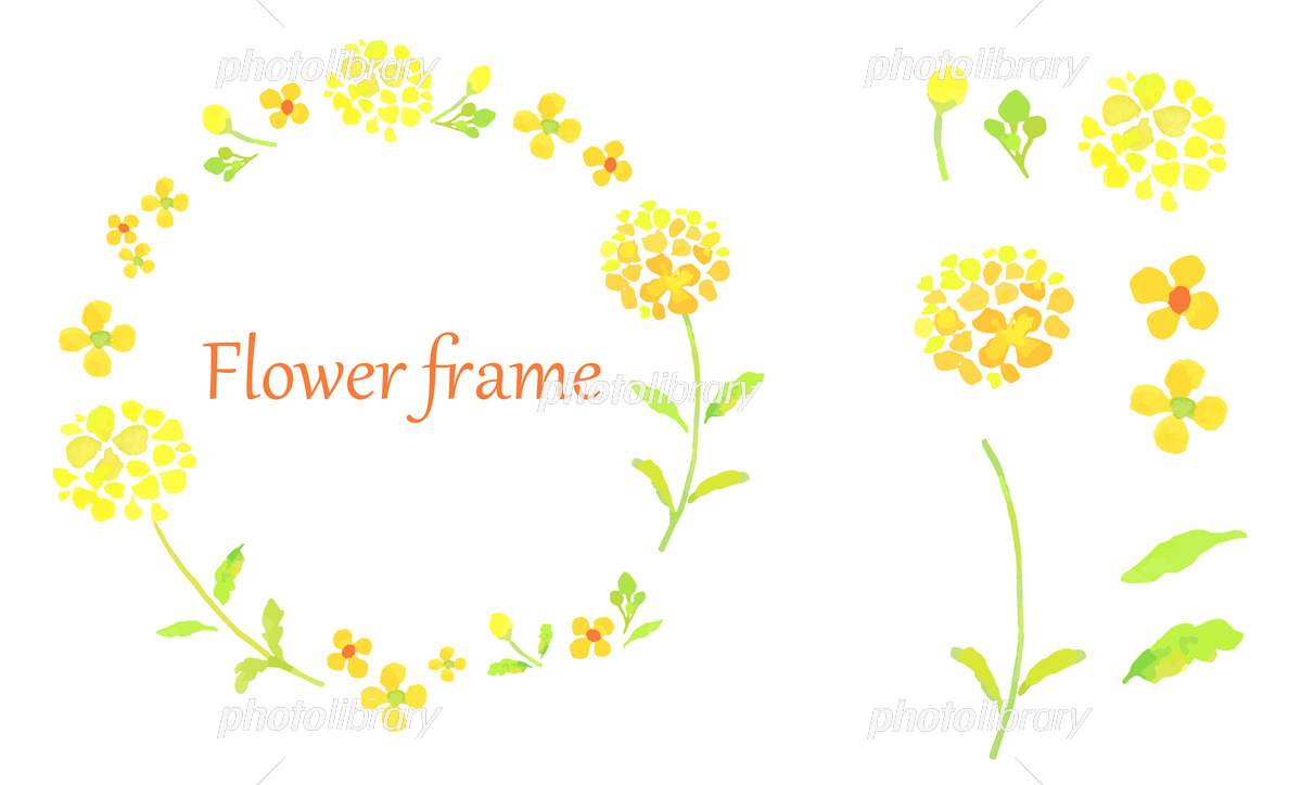 菜の花イラストをおしゃれに！商用フリー＆人気素材の活用法徹底解説