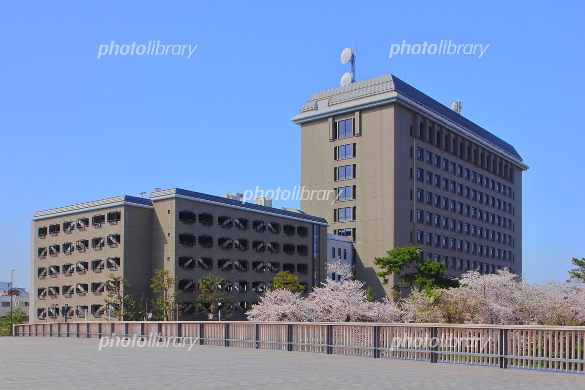 愛知県西三河総合庁舎フロア案内と駐車場・開庁時間の完全攻略
