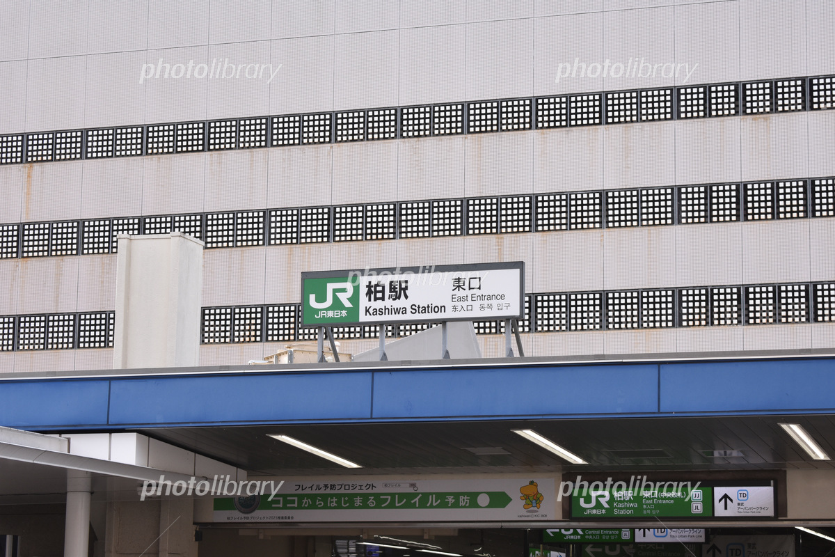 激変する柏駅東口の現在！旧そごう跡地再開発と治安・最新グルメ徹底解剖
