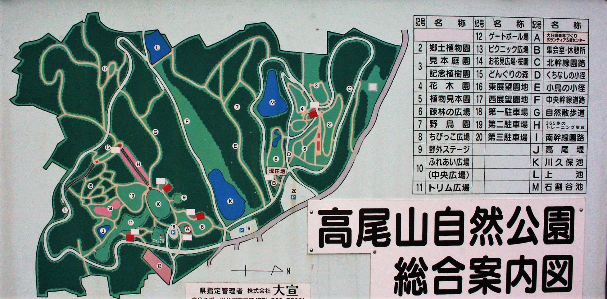 高尾山自然公園の魅力完全網羅！無料キャンプ場から梅園まで徹底解説