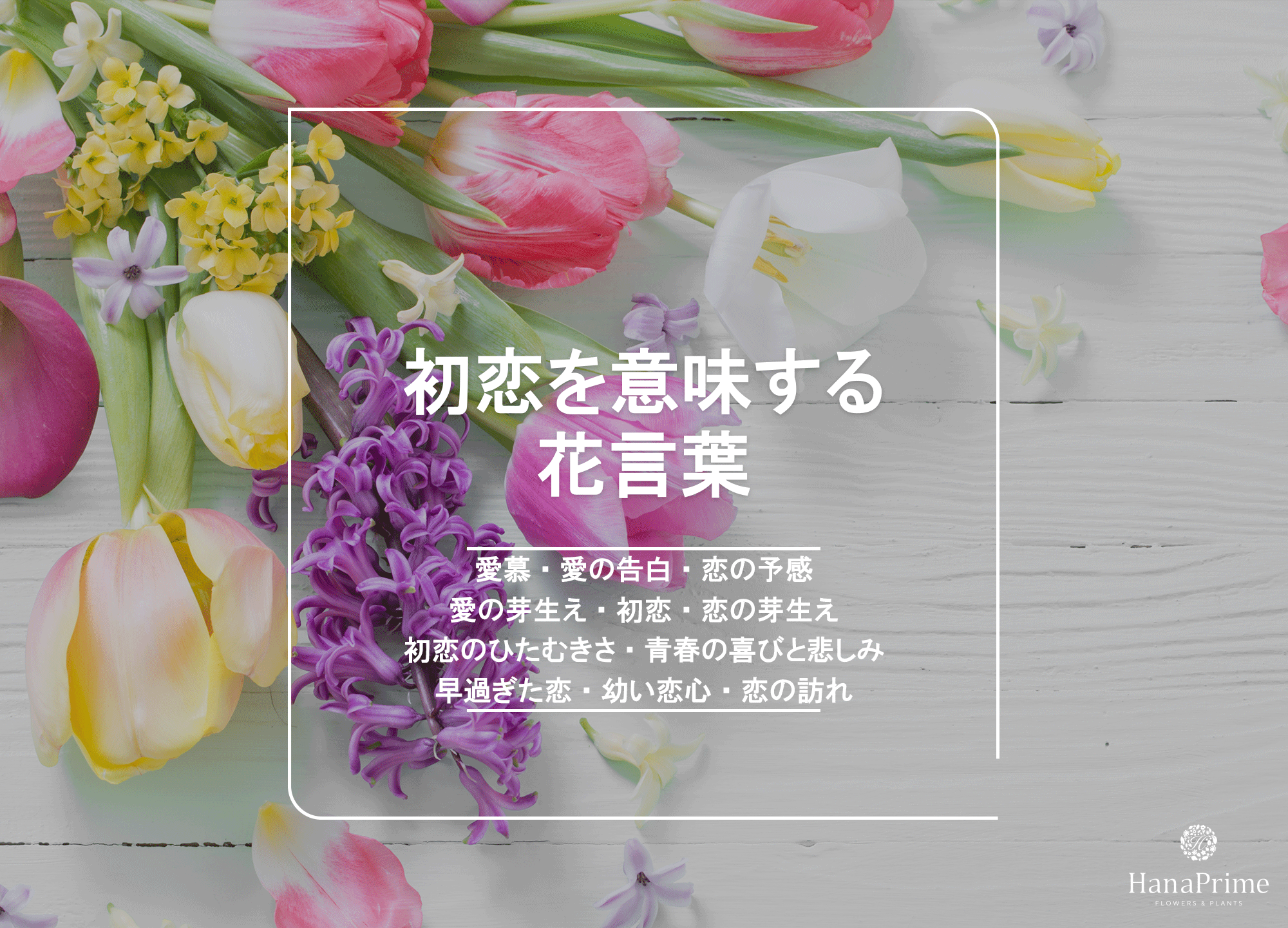 恋愛の花言葉決定版！告白・片思いから怖い裏の意味まで徹底解説