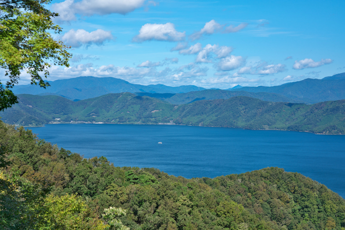 つづら尾崎展望台の現在は？通行規制の注意点と奥琵琶湖の絶景を徹底解説