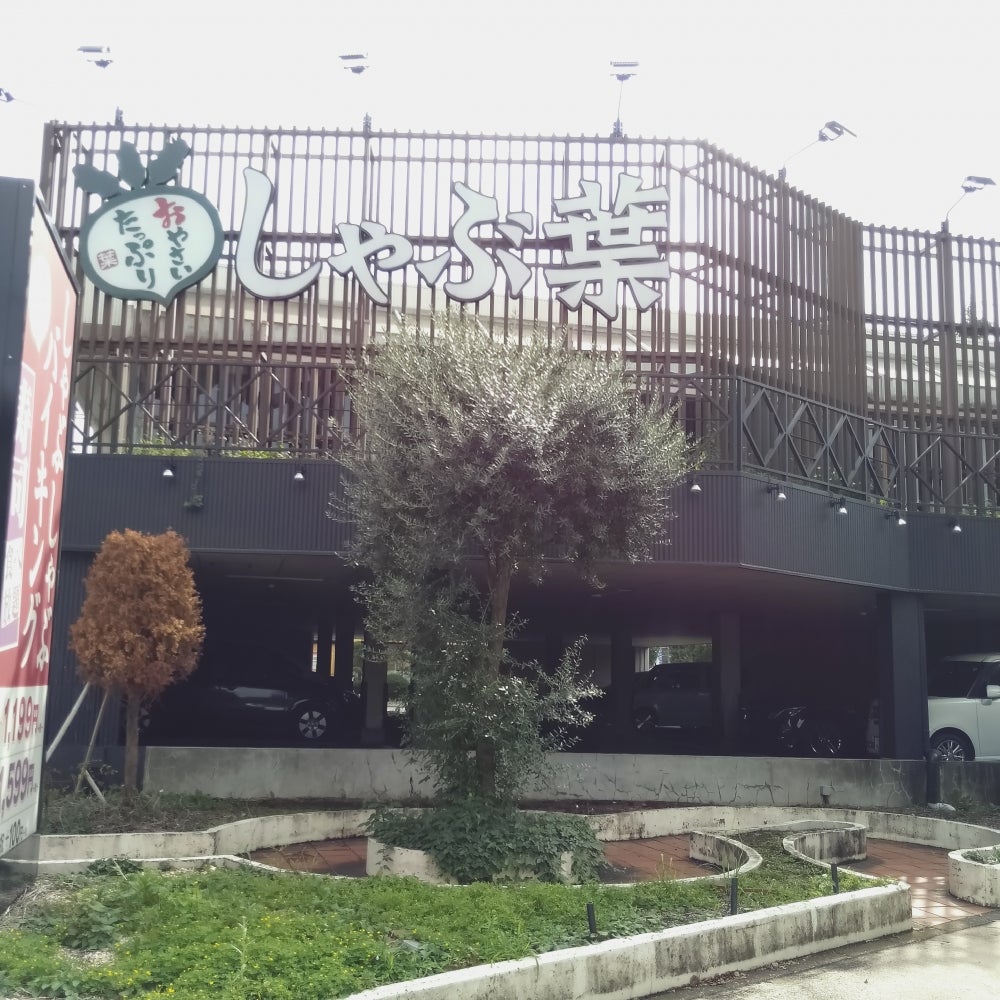 しゃぶ葉練馬光が丘店の混雑回避術とランチ食べ放題の神コスパを徹底検証