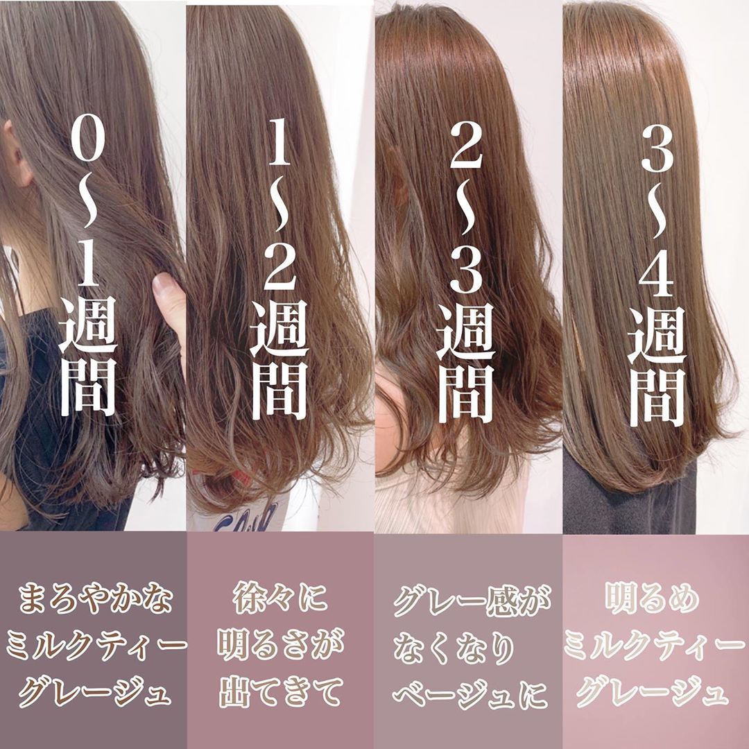 【プロフィール】 グレージュ 色 落ち 過程 経歴＆学歴まとめ 2026 #803