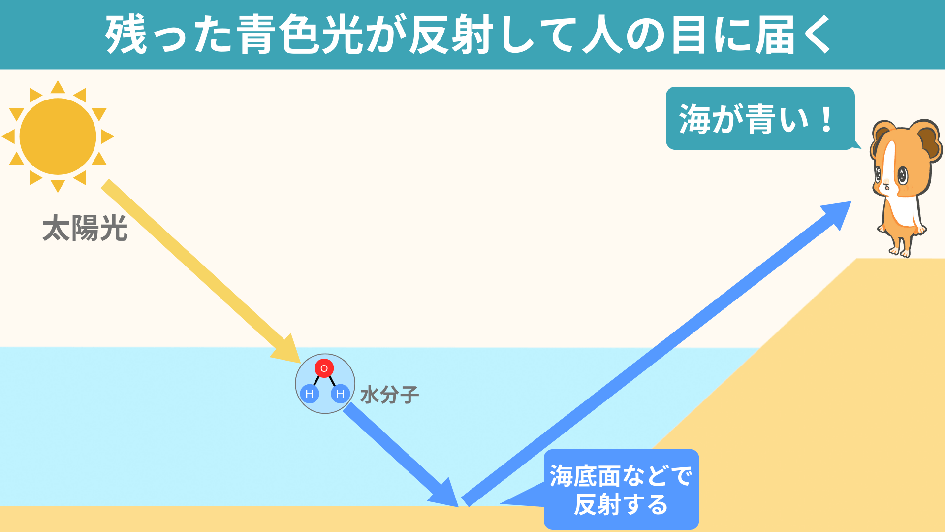 海が青い理由は？水は透明なのに青く見える秘密を科学で徹底解明