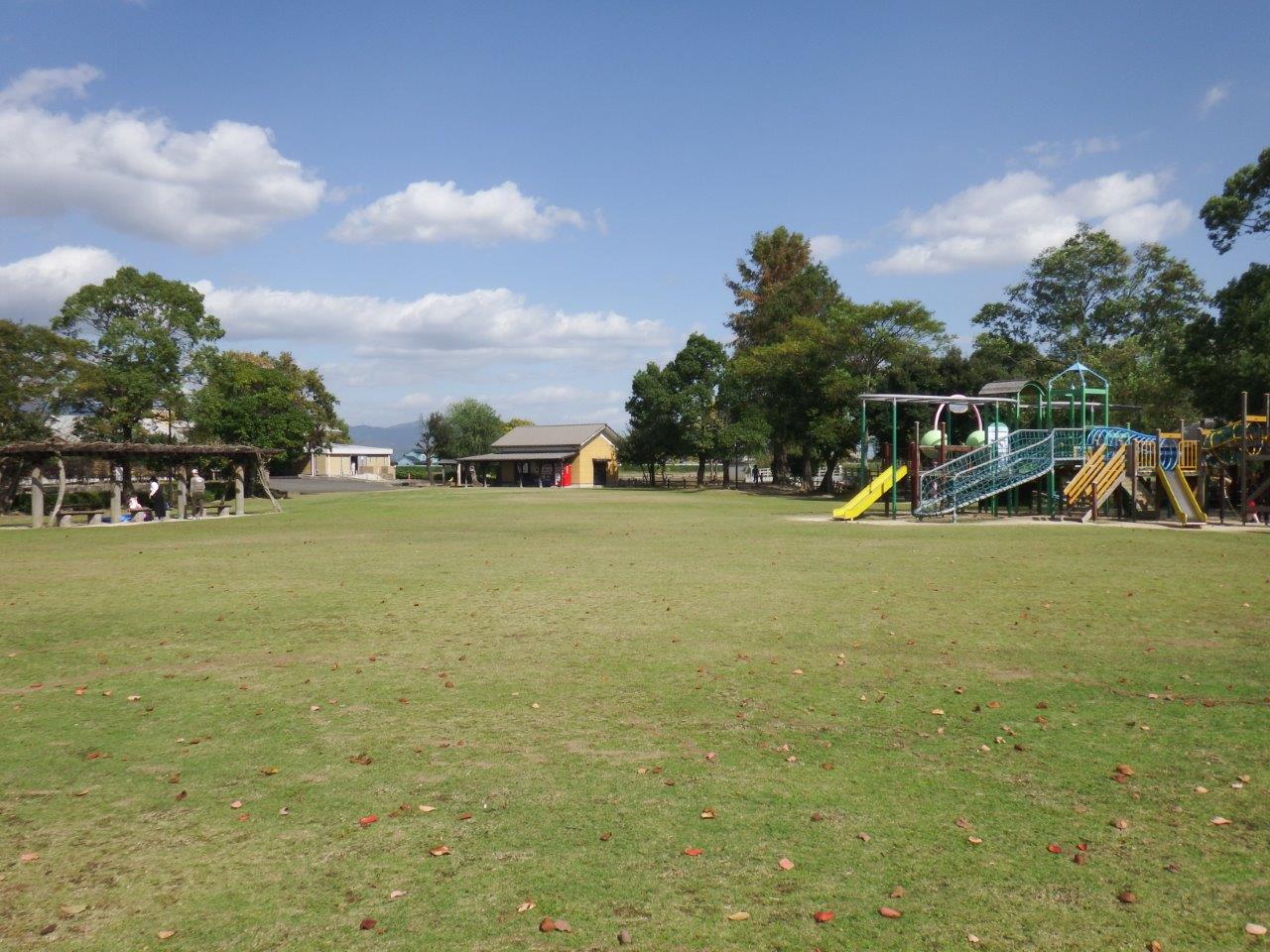 ひょうたん島公園の魅力徹底解剖！ひまわり見頃と混雑回避の裏ワザ