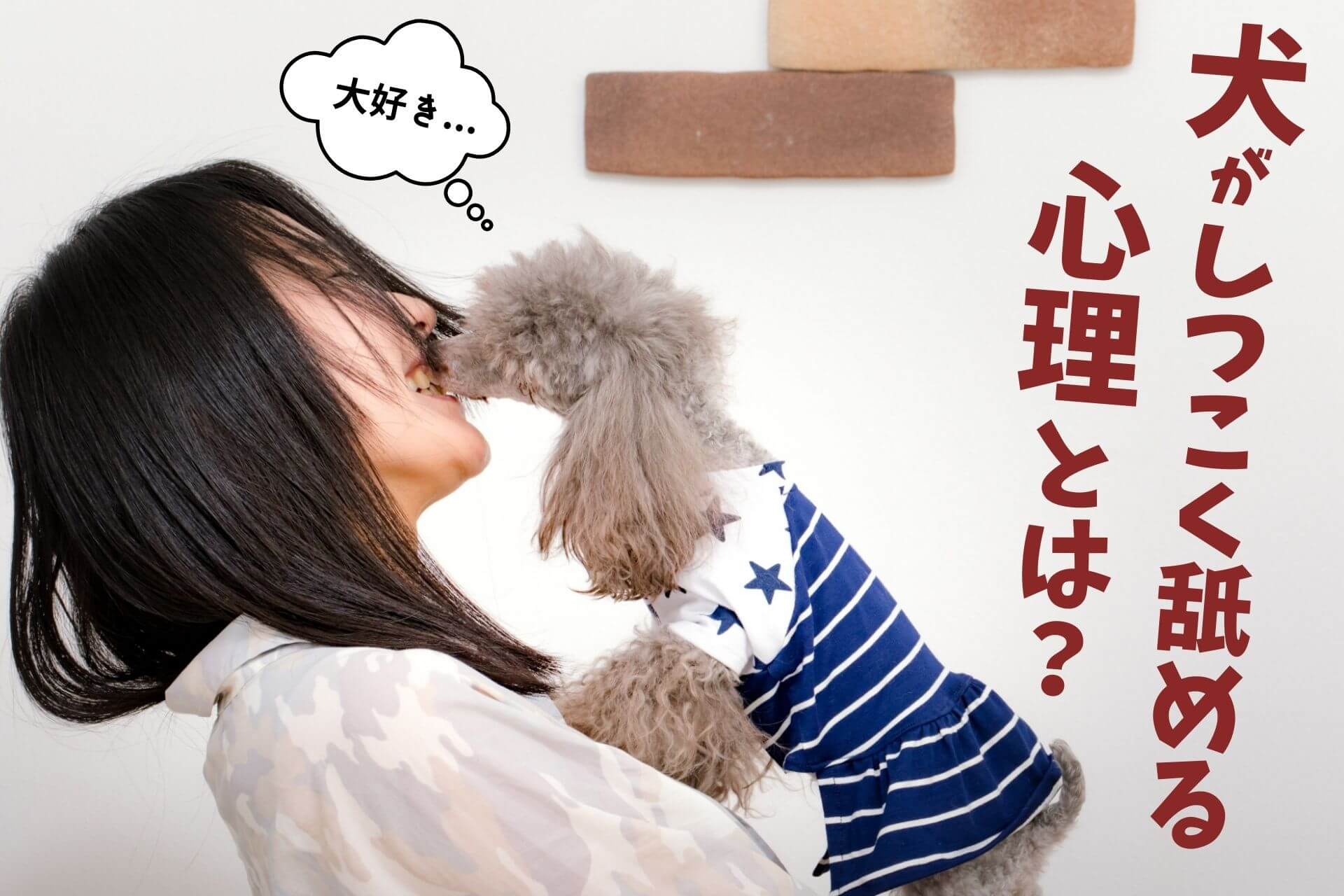 犬がしつこく舐めてくる決定的な理由｜愛情表現と病気・ストレスの境界線