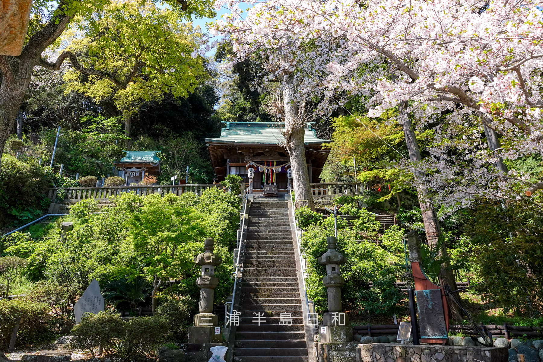 走水神社が怖いと噂される真相は？強力なご利益と不思議な体験を徹底検証