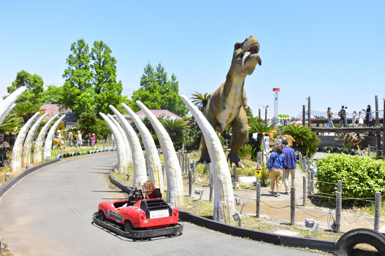 伊豆ぐらんぱる公園攻略2026｜割引券と昼夜入替の落とし穴を徹底解剖
