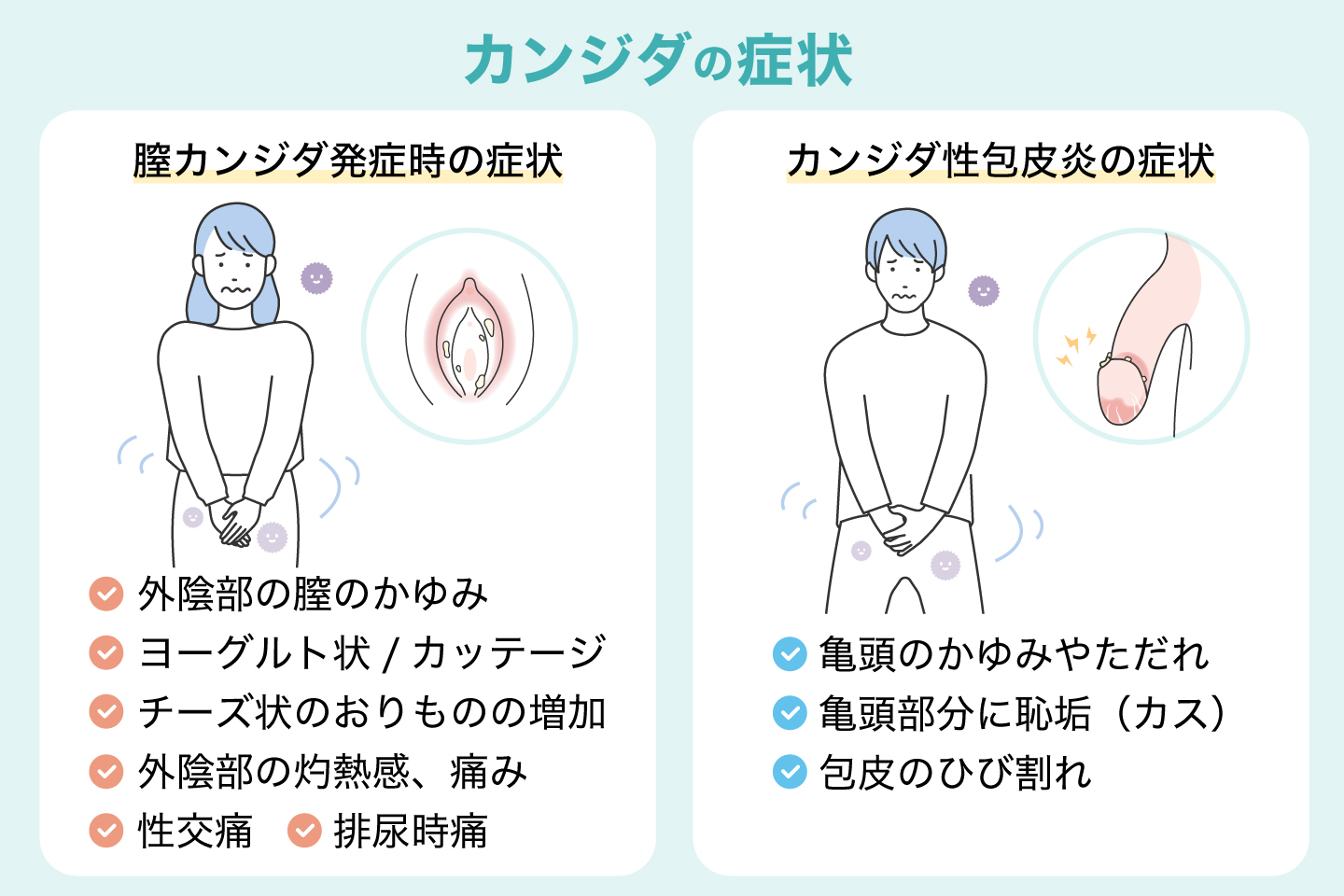 男性カンジダの画像と初期症状｜赤み・白いカスの見分け方と治療法