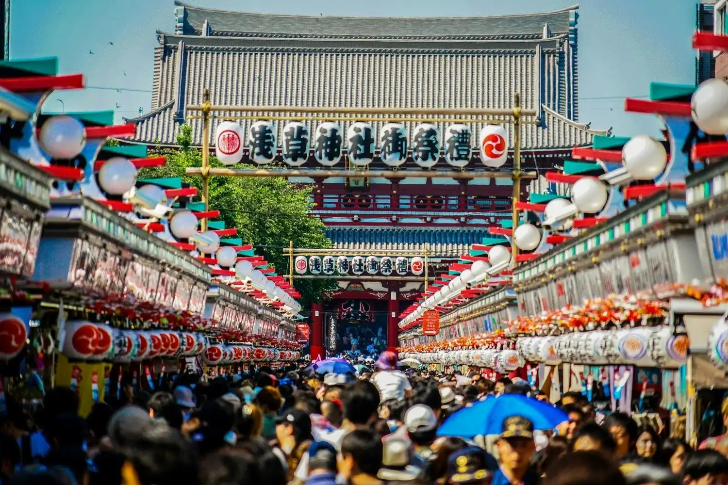 東京の祭り2026完全ガイド｜江戸三大祭の最新日程と穴場屋台