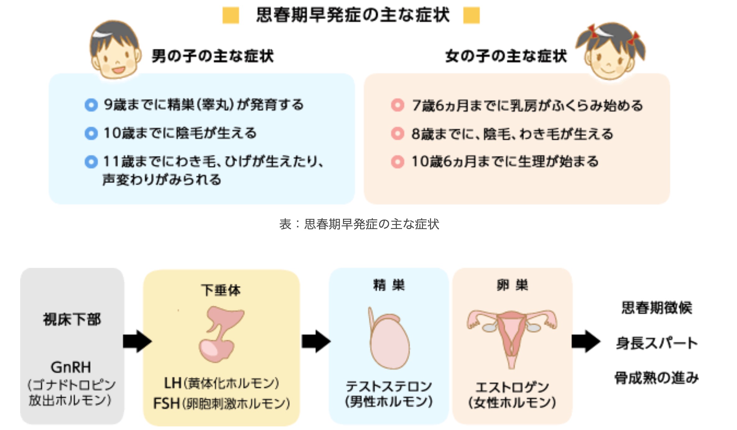 思春期早発症のサインと見分け方｜写真や初期症状から探る低身長リスク