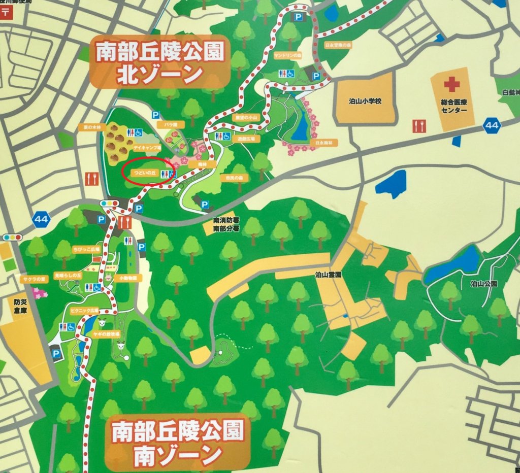 南部丘陵公園の魅力を徹底解剖！無料小動物園と北南ゾーン攻略の極意