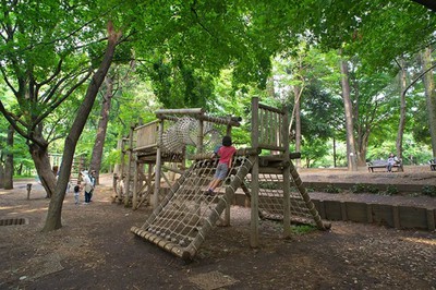 【真相】 林 試 の 森 公園 最新熱愛噂まとめ #897