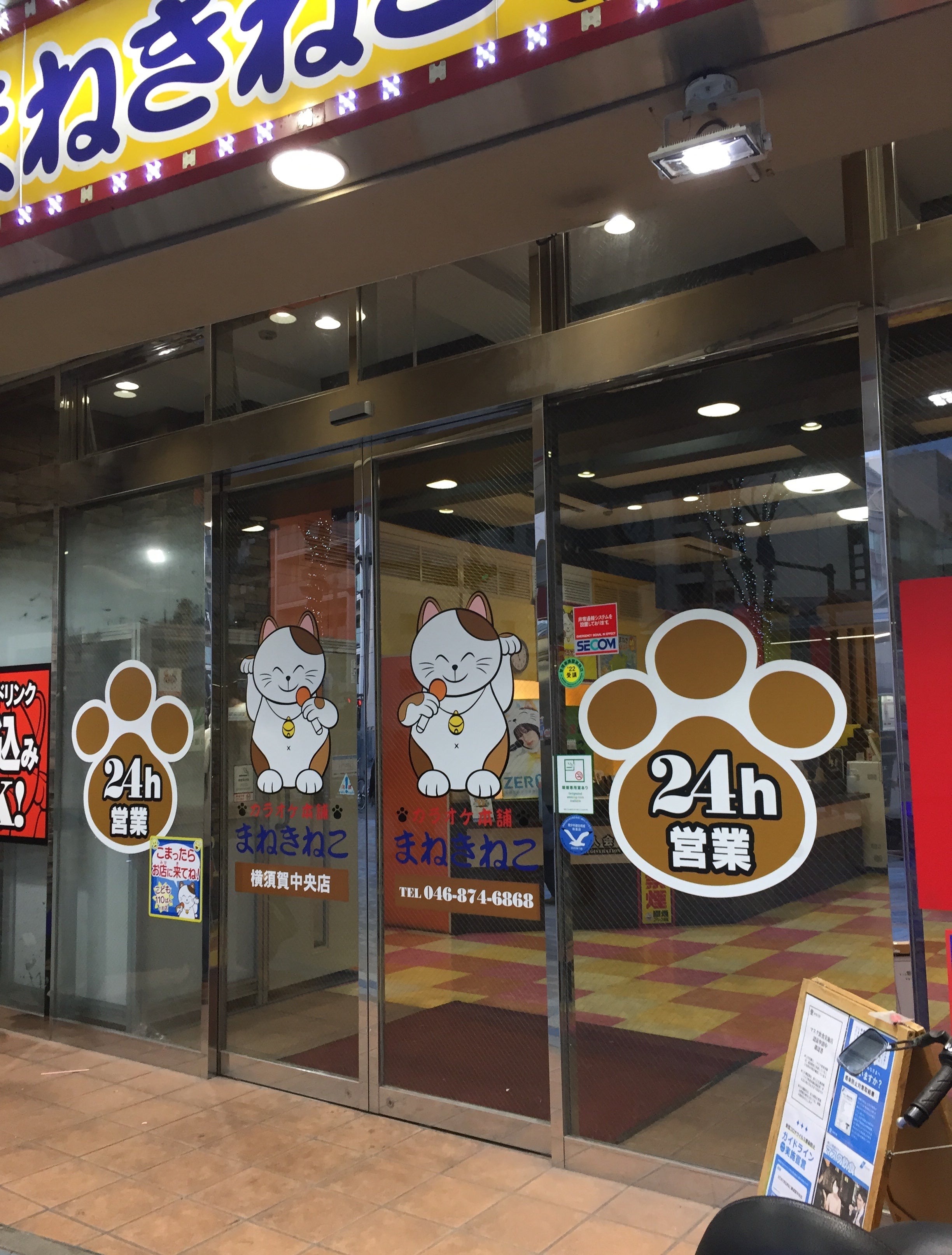 まねきねこ横須賀中央店の料金・持ち込み・予約攻略ガイド【2026年最新】