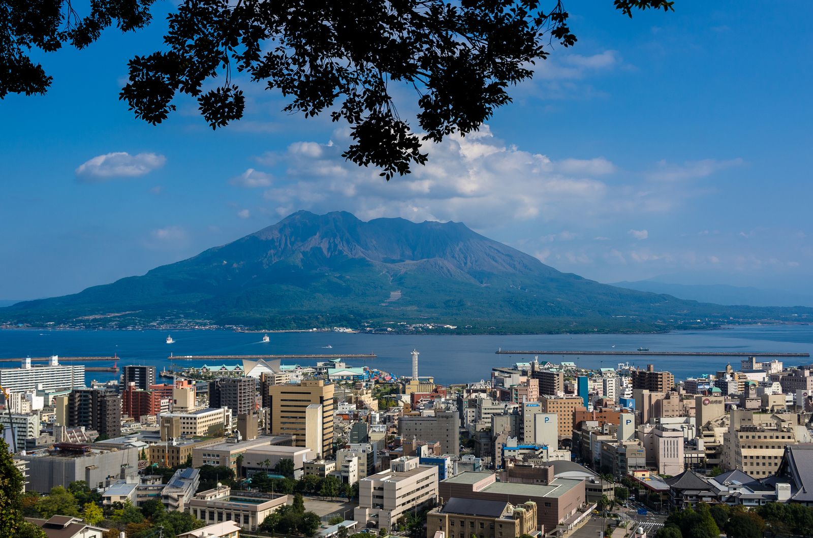 鹿児島高校バスケ2026勢力図！川内・れいめい激闘と予選速報