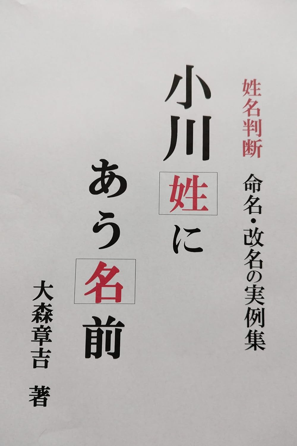 小川航基の現在と覚醒の軌跡｜オランダでの成績と結婚・年俸の真相