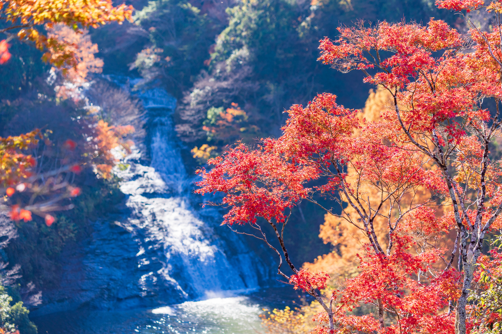 千葉県の滝おすすめ7選！濃溝の滝や養老渓谷の絶景と穴場を徹底解説
