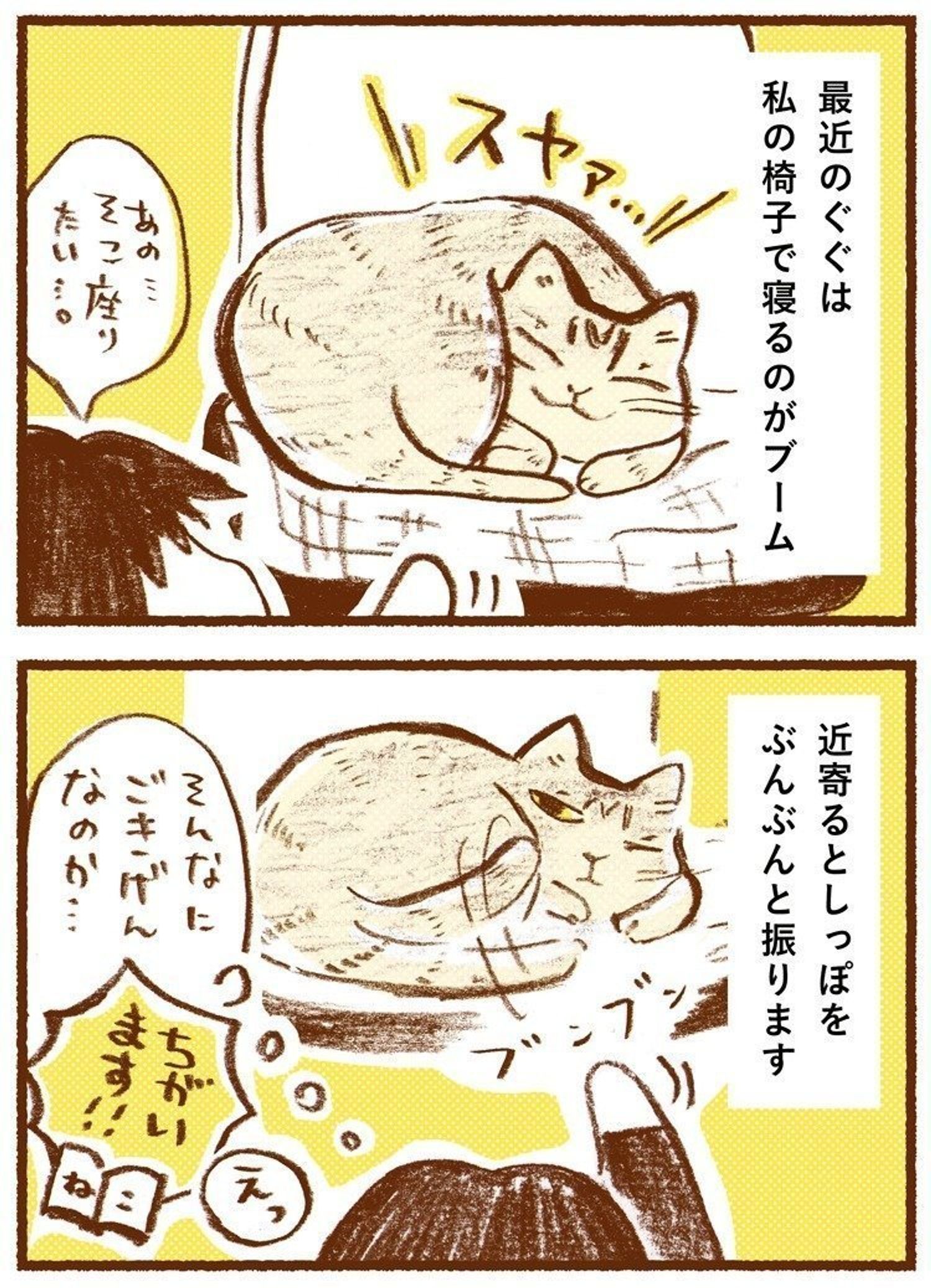 猫がしっぽを振る理由とは？怒りと好意を見分ける動きの全真相