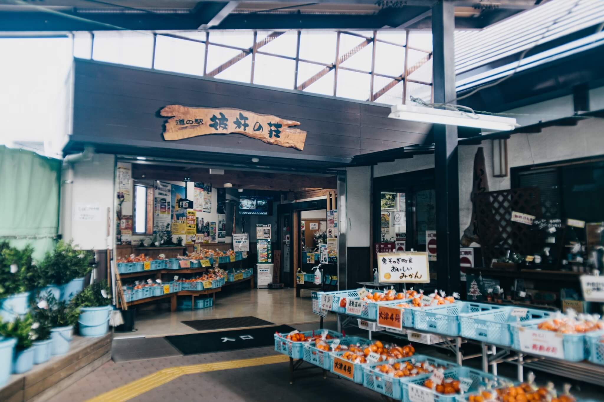 道の駅彼杵の荘が人を惹きつける理由！絶品そのぎ茶と鯨グルメ