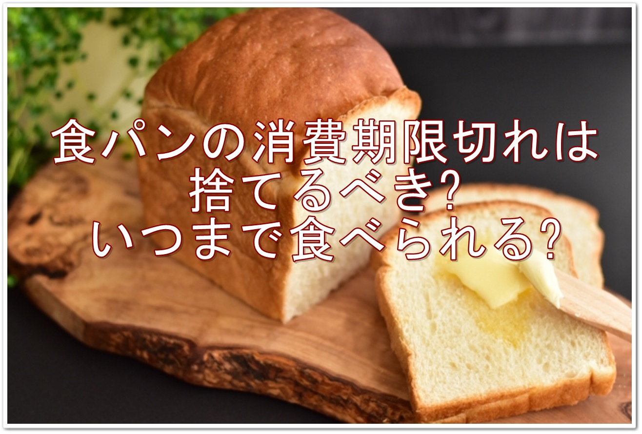 食パンの消費期限切れはいつまで平気？加熱の罠と危険なカビの真実