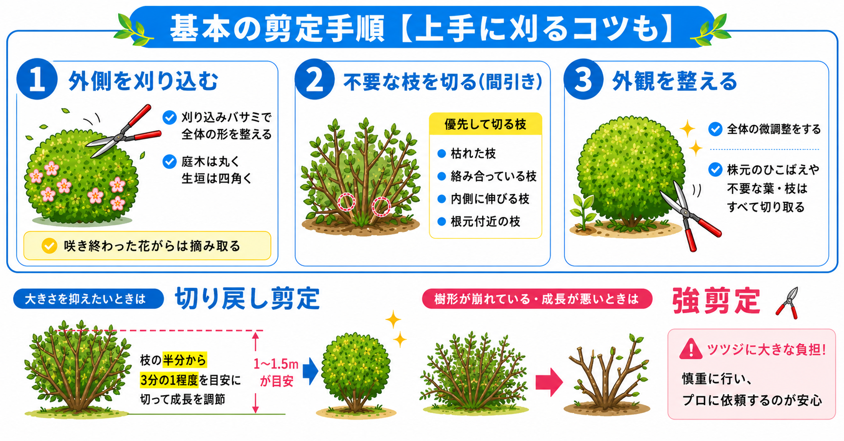 ツツジの剪定時期と正しい切り方｜来年花が咲かない失敗を防ぐ極意