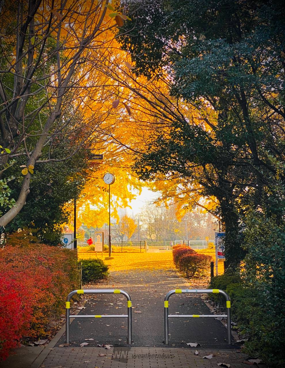 【現地ルポ】湖畔の景色が一変した理由──2026年、進化する「和田公園」が提示する都市公園の最適解
