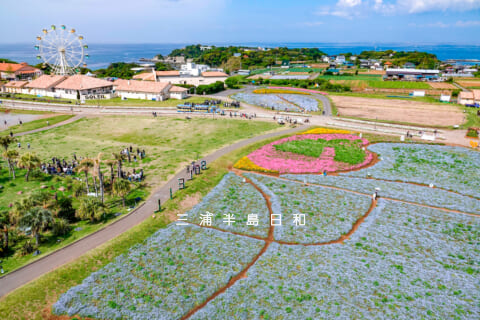 【プロフィール】 長井 海 の 手 公園 ソレイユ の 丘 人気理由と評判まとめ #616