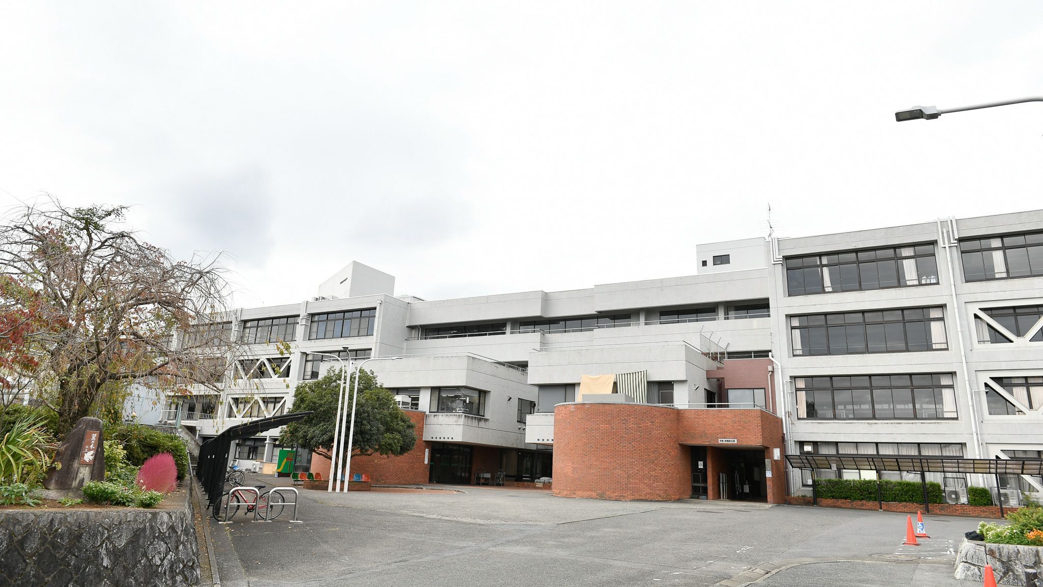 和光高校の偏差値と評判の真相【2026】進学実績と自由な校風を徹底検証