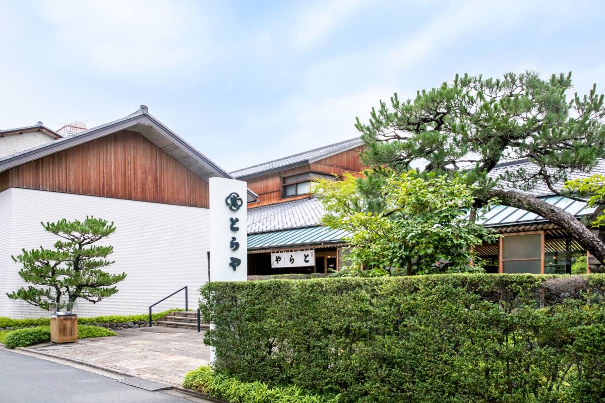 虎屋菓寮京都一条店の真価と混雑回避術｜限定甘味と庭園の全貌
